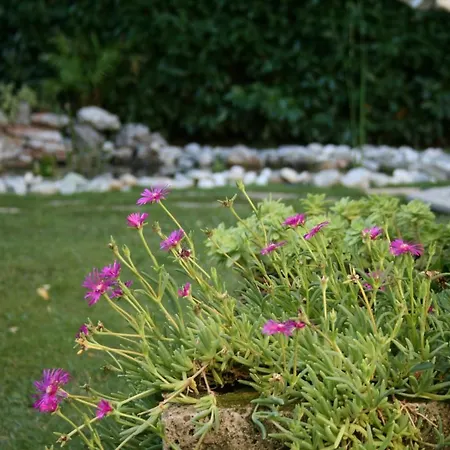 شقة Alle Falesie دوينو